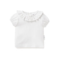 White Pointelle Ruffle Top - White